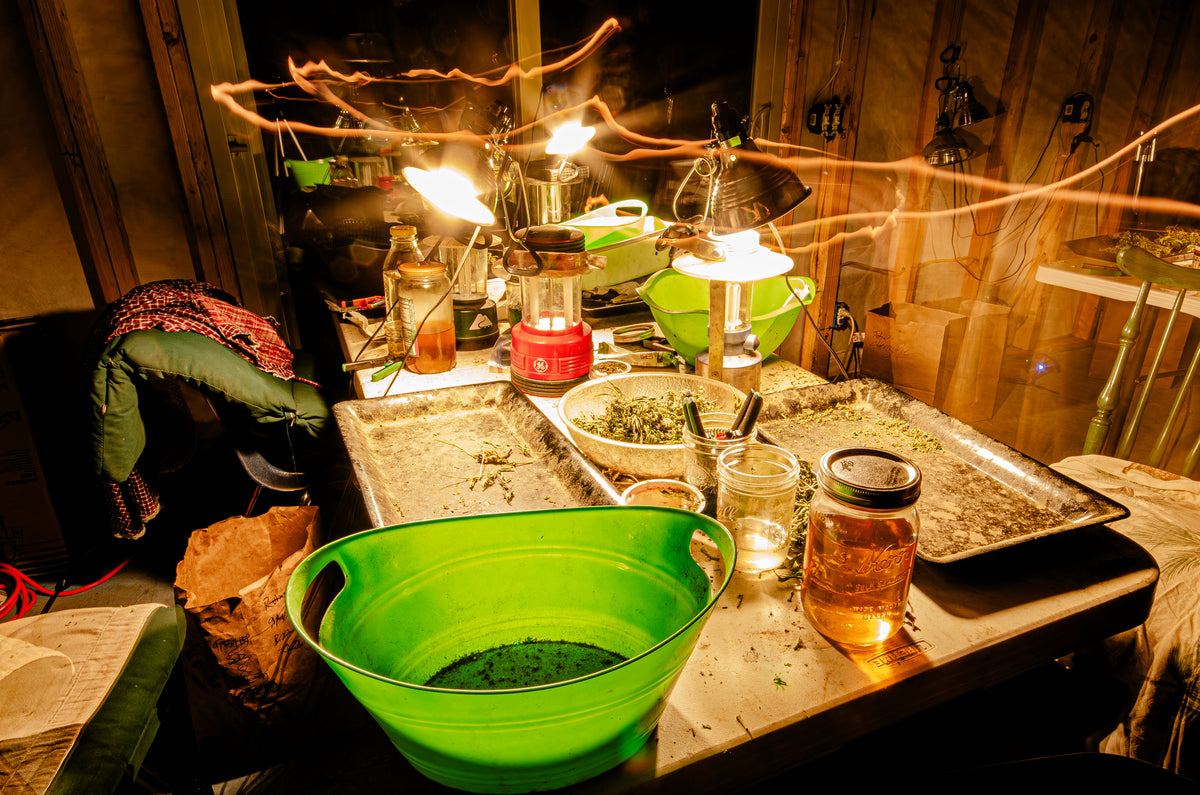 Trimmer Table - Bazingo's Farm - Mad River, CA - Emerald Triangle - 2014 - Photo by John Veit - Total size with frame 23.75" X 15.75"