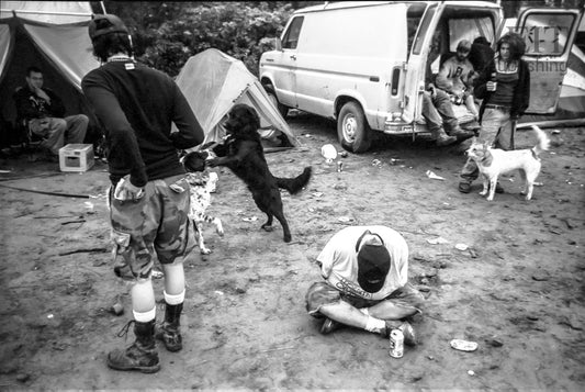 Punkfest - Eau Claire, WI - Punks and dogs lounge on the festival grounds. Photo by John Veit