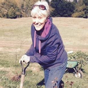 Elderly woman gardening with a spade.